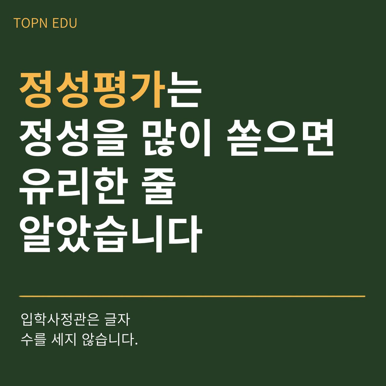 TOPN EDU 정성평가 입학사정관글자수
