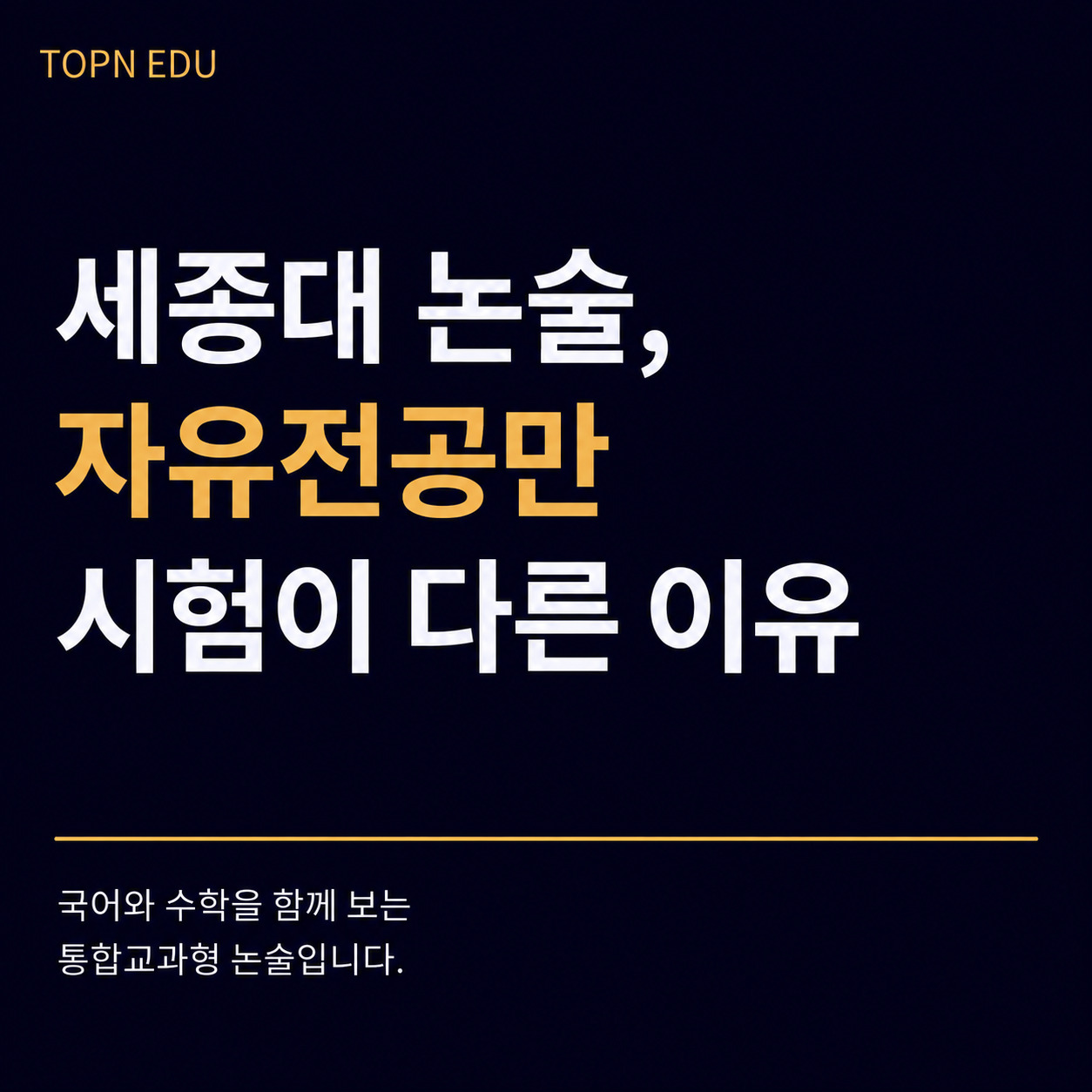 2027 세종대 자유전공학부 논술